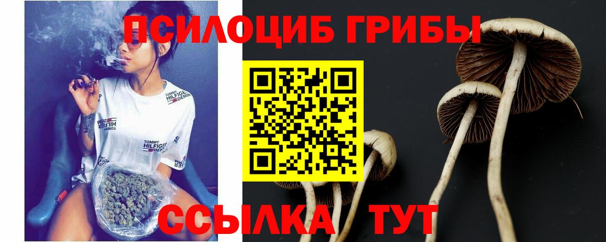 Павлово  Псилоцибиновые грибы Cubensis  Псилоцибиновые грибы MAGIC MUSHROOMS  Вход с VPN 